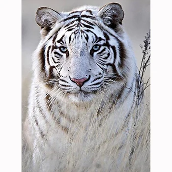 5D Dimanta Glezna Krustdūrienā Dimanta Izšuvumi Savvaļas White Tiger Pilnu Kvadrātveida Rhinestones Mājas Apdare Adatu Amatniecības KBL