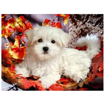 maltas suņi 5d diy dimanta glezniecības pilnībā izšuvumi Cute pet pārdošanas Sākuma Apdare balts suns, kvadrātveida, apaļas rhinestones dāvanu CV112