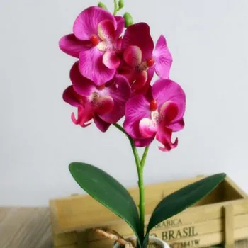 Simulācijas Ziedi Iedomātā Četras Butterfly Orchid Saturīgs Bonsai Augu Ziedu Rīkošana, Aksesuāri, Karstā Pārdošanas