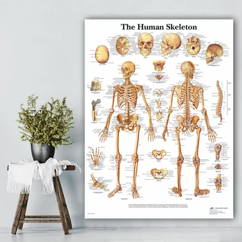 Skeleta Sistēmas Plakātu Anatomijas Diagrammas Cilvēka Ķermeņa Skelets Medicīnas Art Sienas Plakātus, Kanvas Glezna Biroja Mājas Dekoru